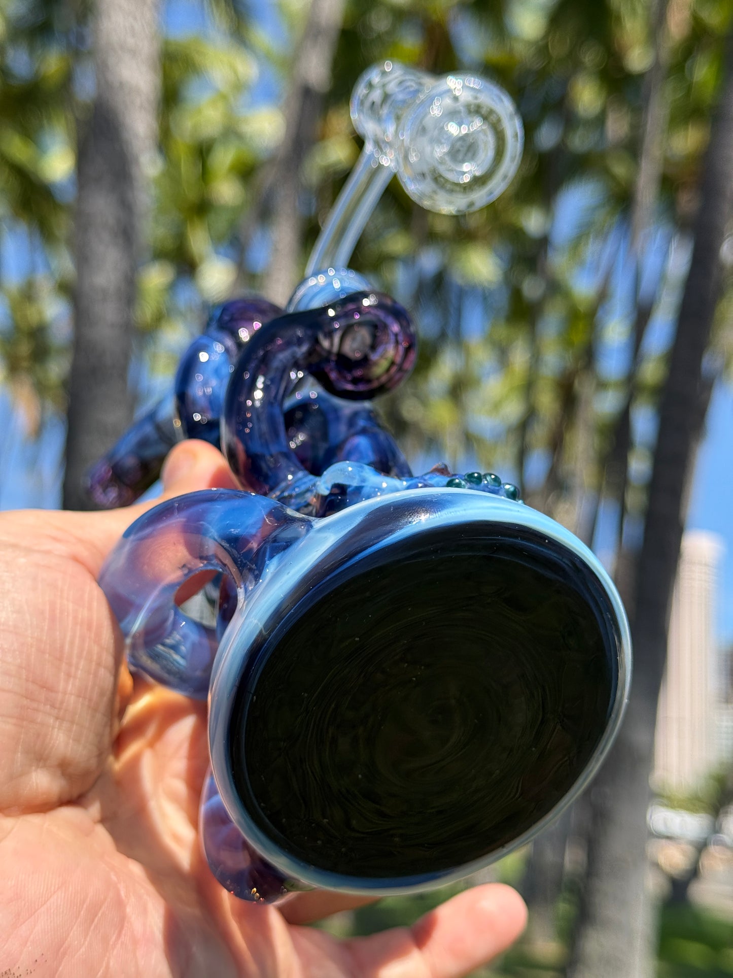 Warwick Glass Dark Water Cycler