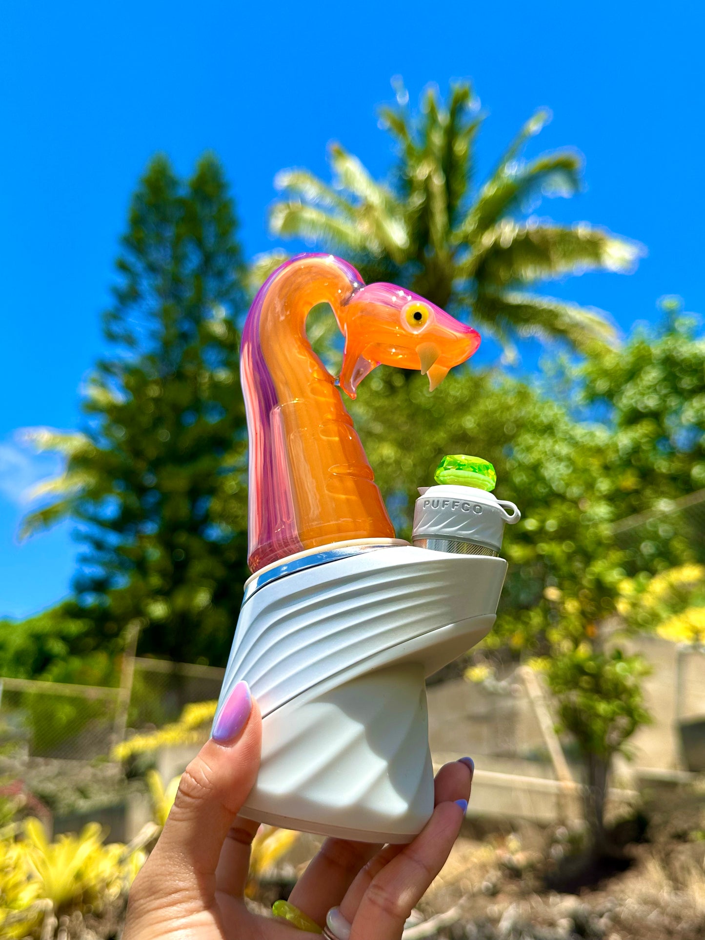 Tangie and Telemagenta Snake Peak Top