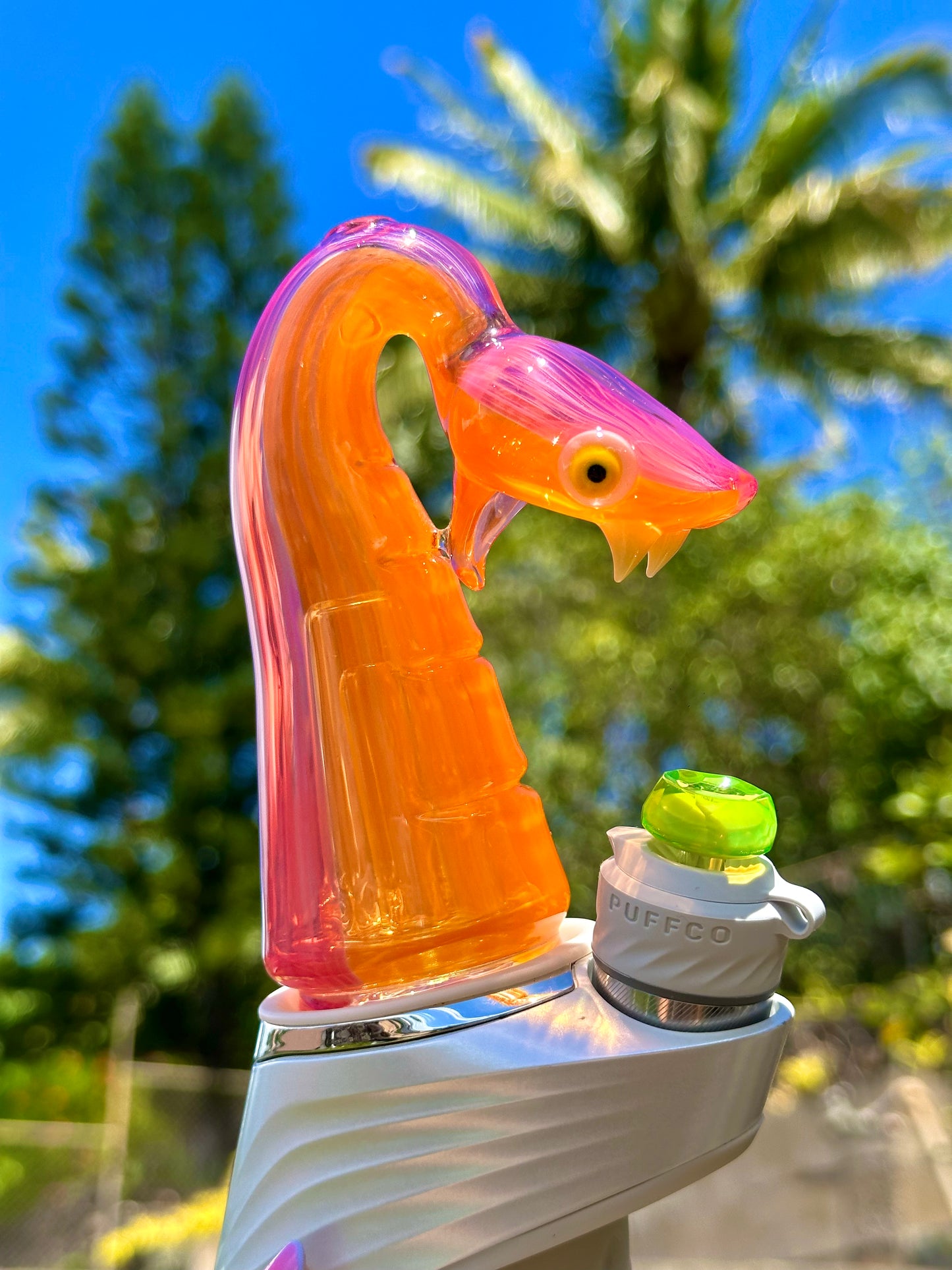 Tangie and Telemagenta Snake Peak Top