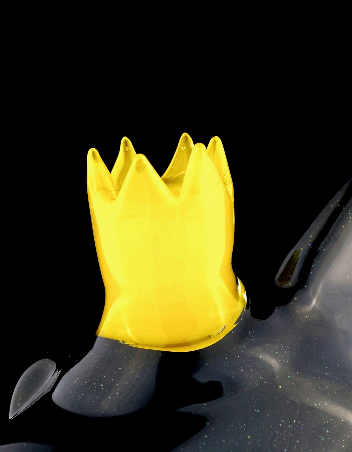 Galaxy and Elvis King Shark