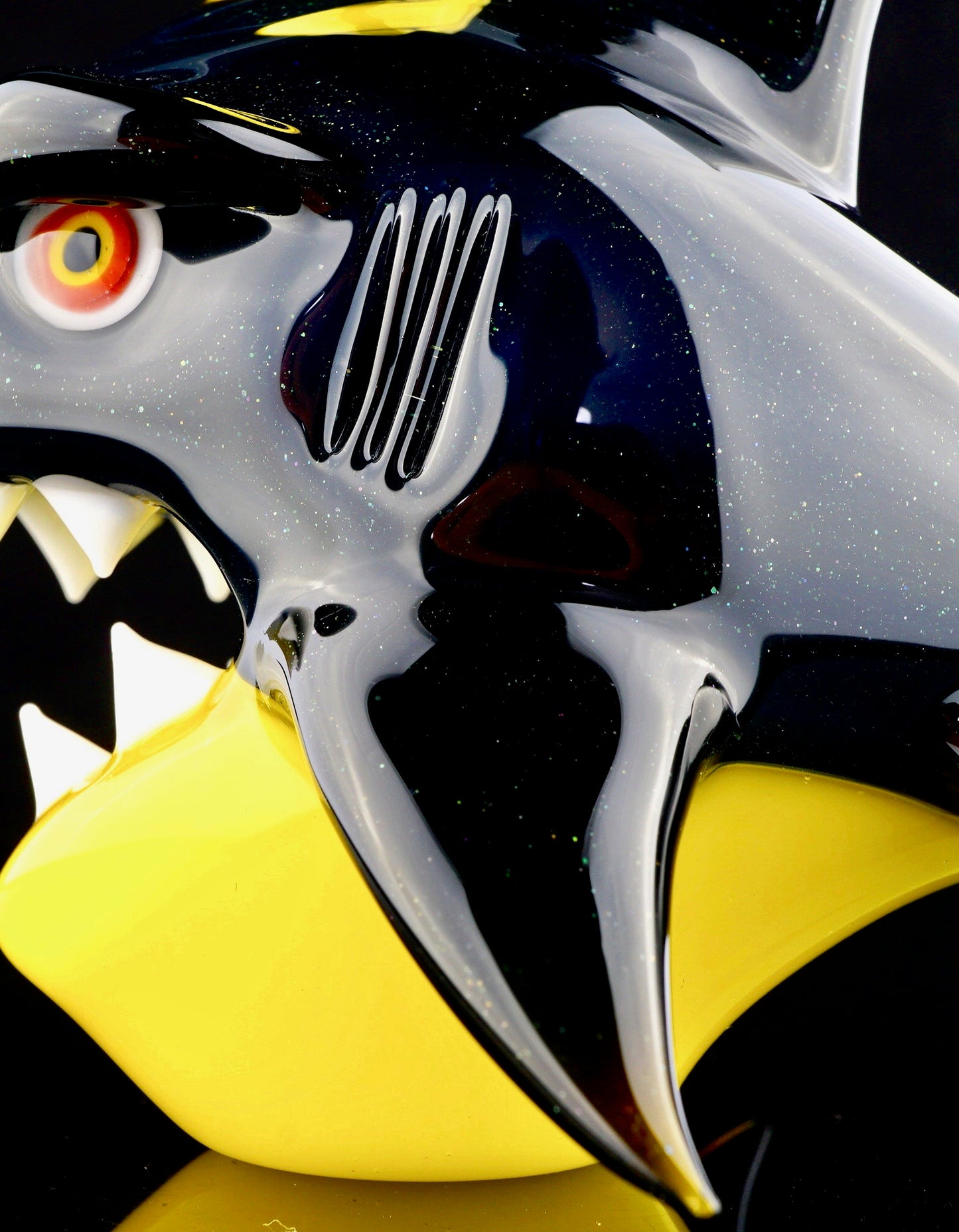 Galaxy and Elvis King Shark