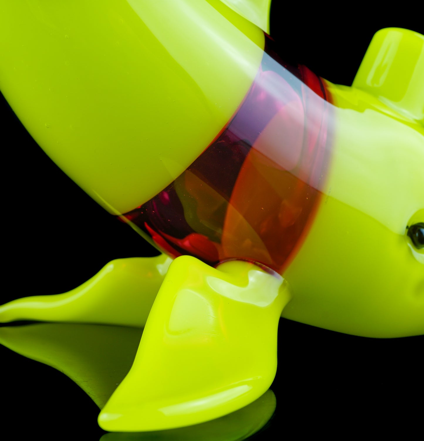 Roswell and Gold Ruby Dolphin