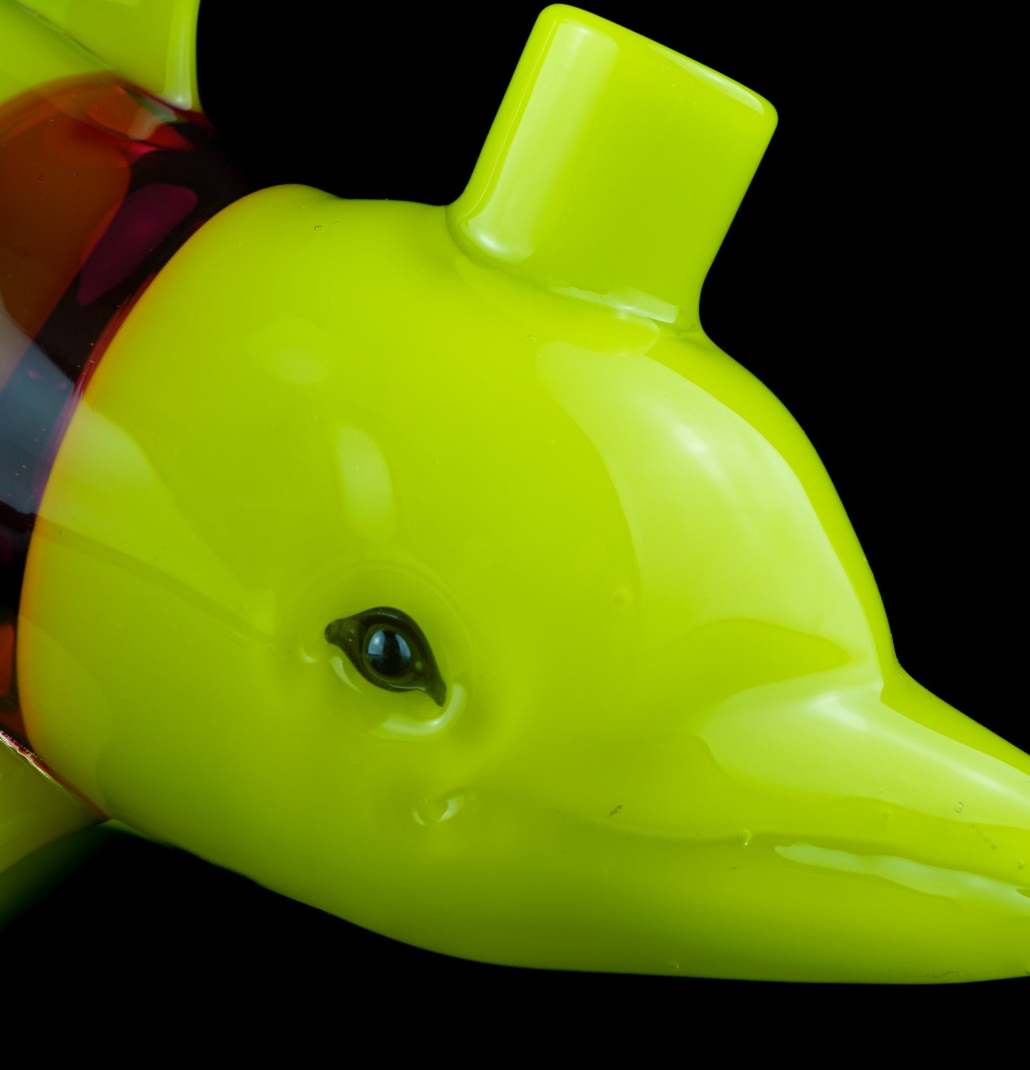 Roswell and Gold Ruby Dolphin