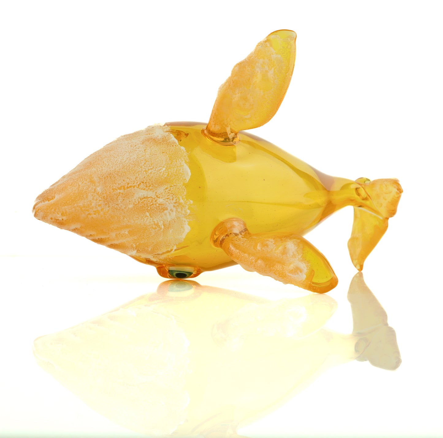 Terps Chonker Whale