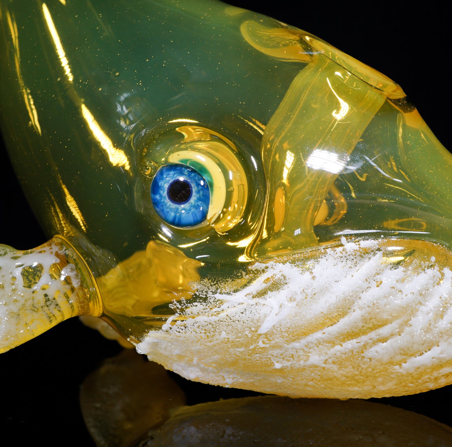 Terps Chonker Whale