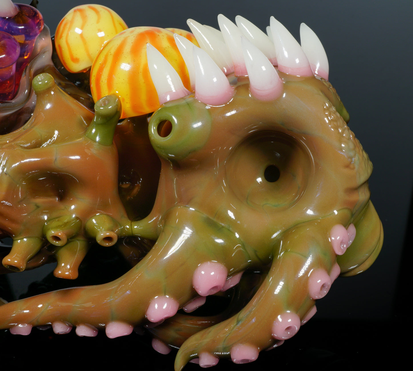 Hawaiian Sea Life Sherlock