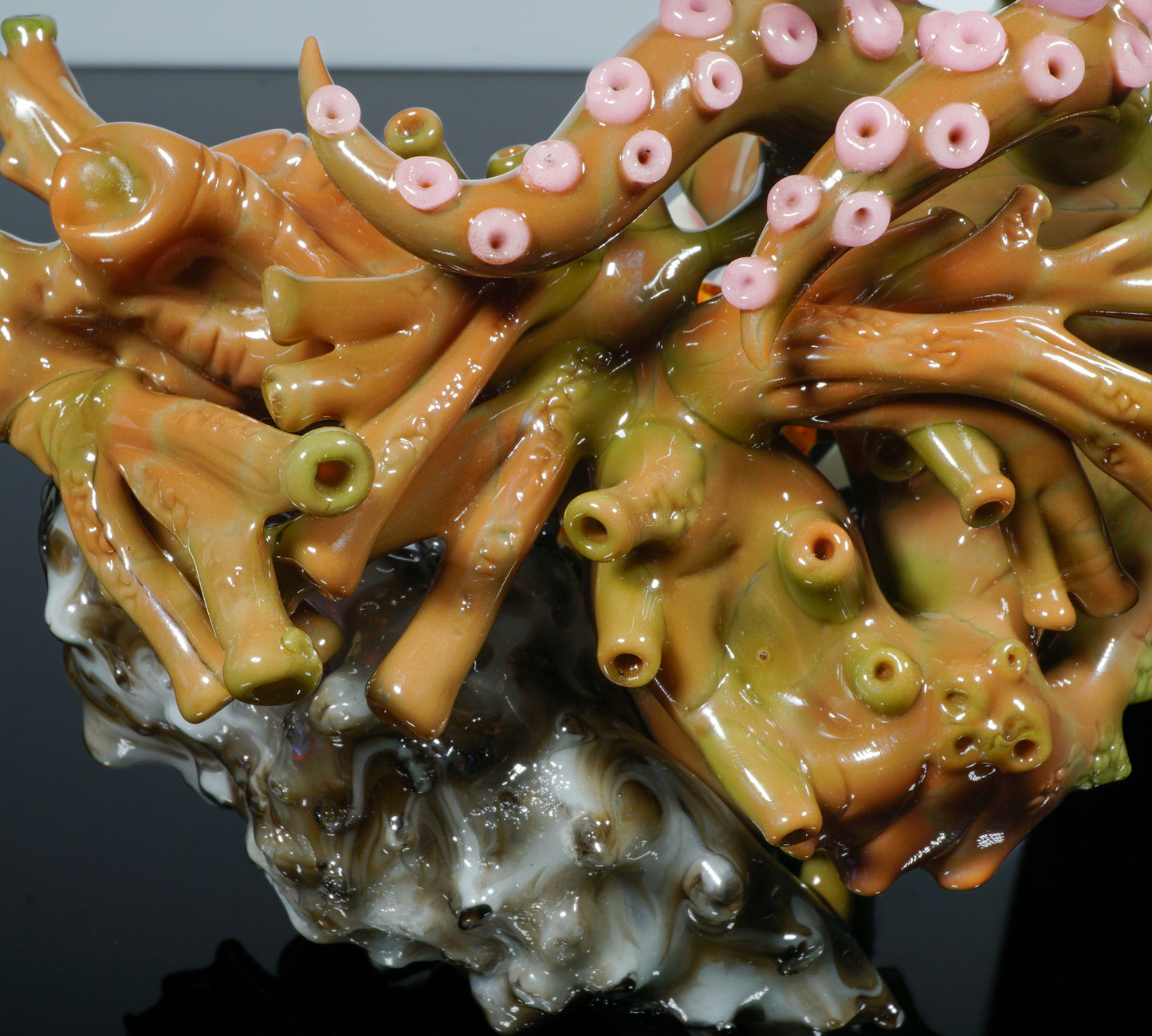 Hawaiian Sea Life Sherlock