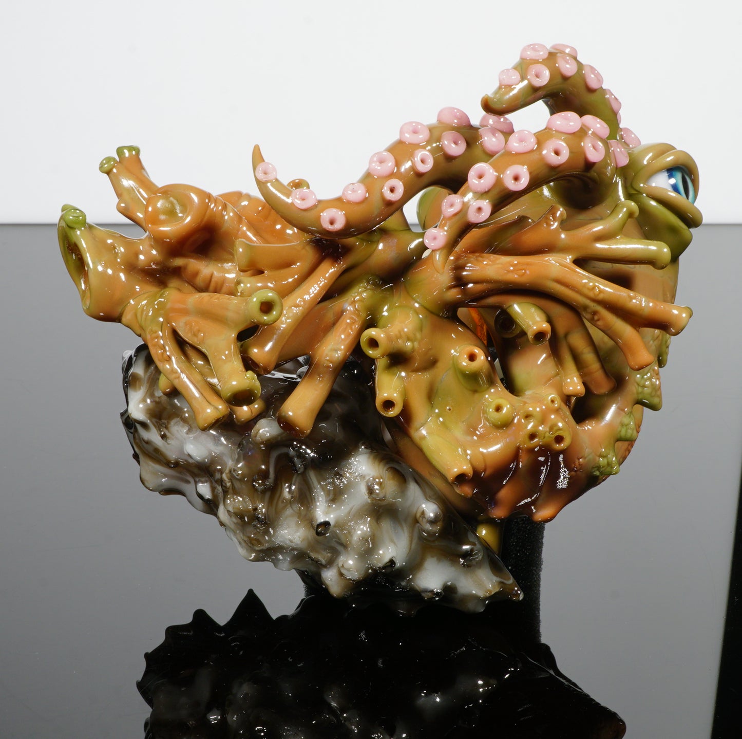 Hawaiian Sea Life Sherlock