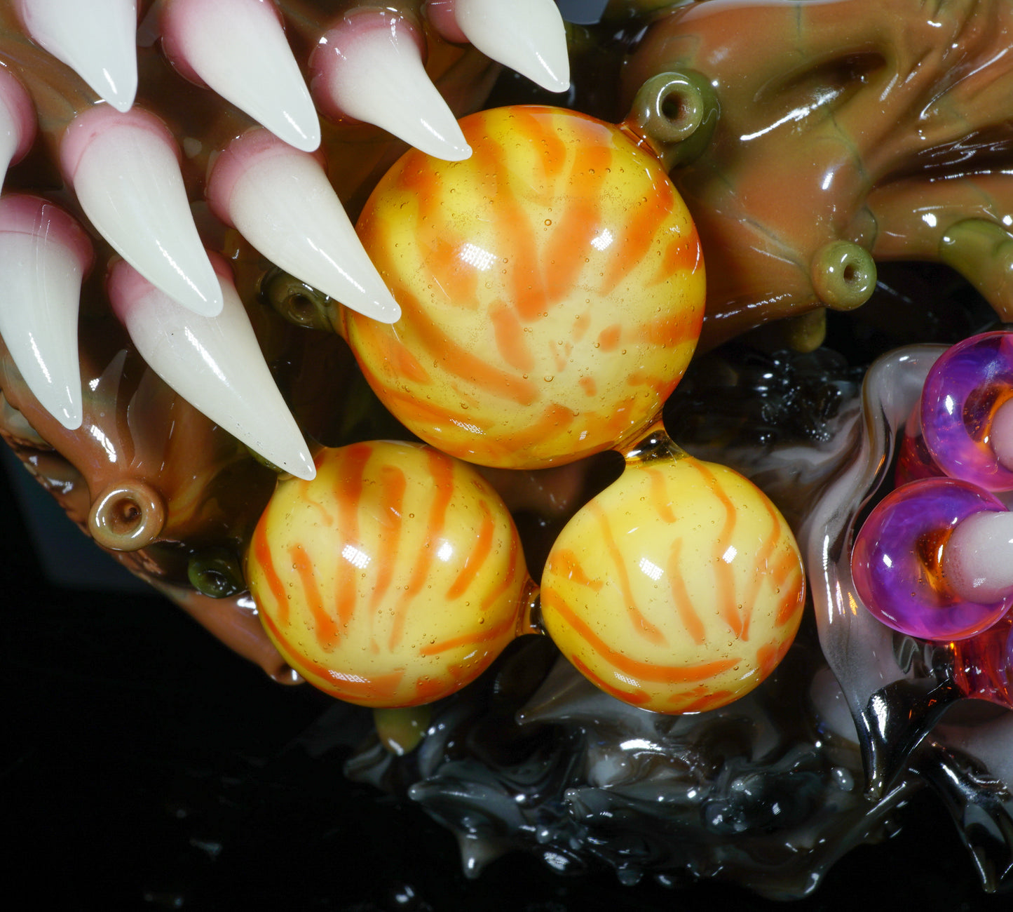 Hawaiian Sea Life Sherlock
