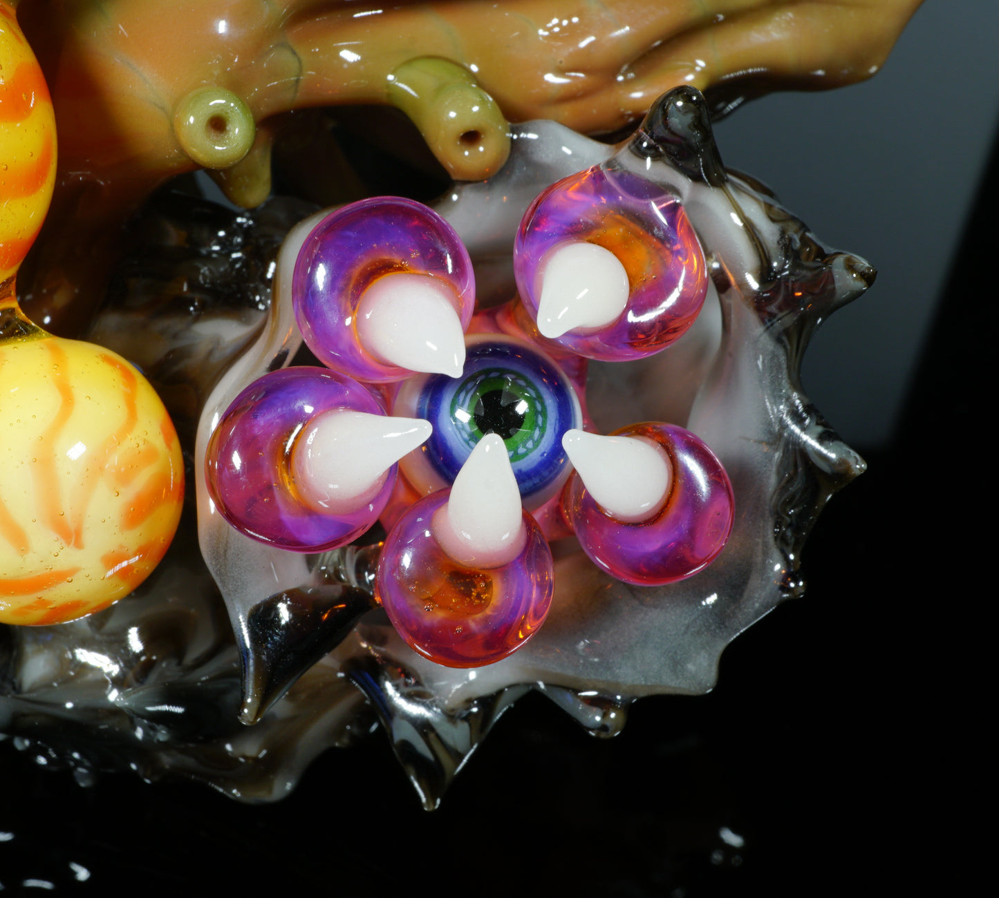 Hawaiian Sea Life Sherlock
