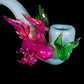 Betta Fish Sherlock