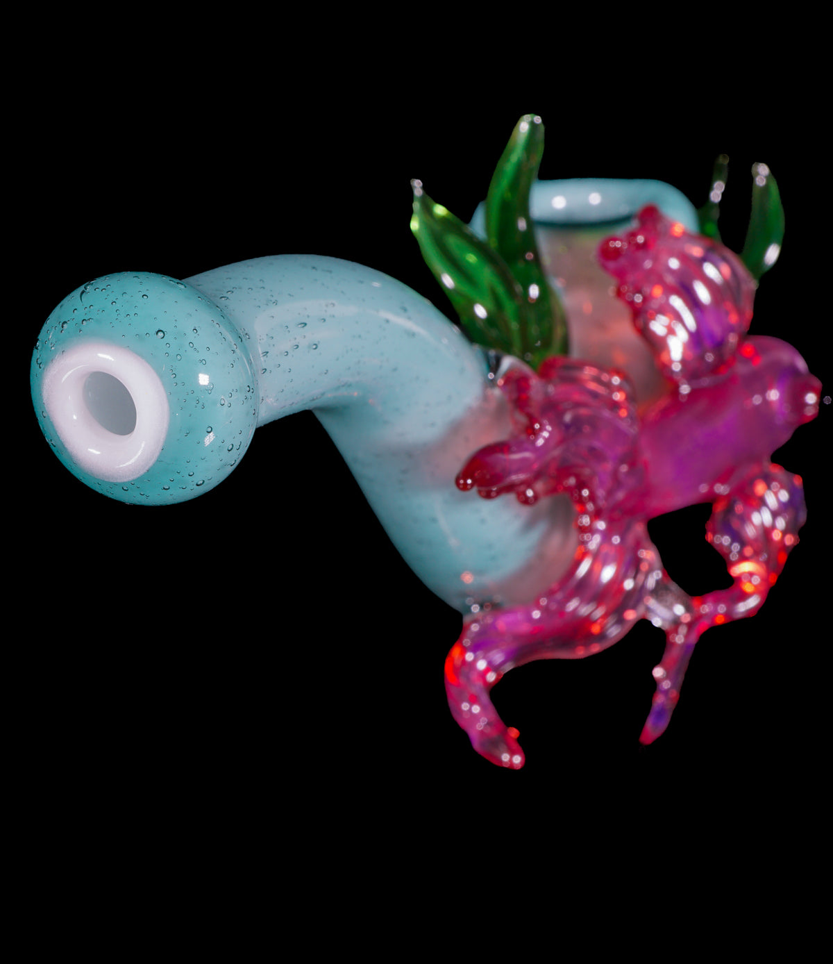 Betta Fish Sherlock