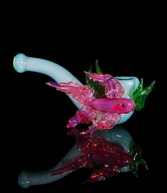 Betta Fish Sherlock