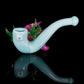 Betta Fish Sherlock