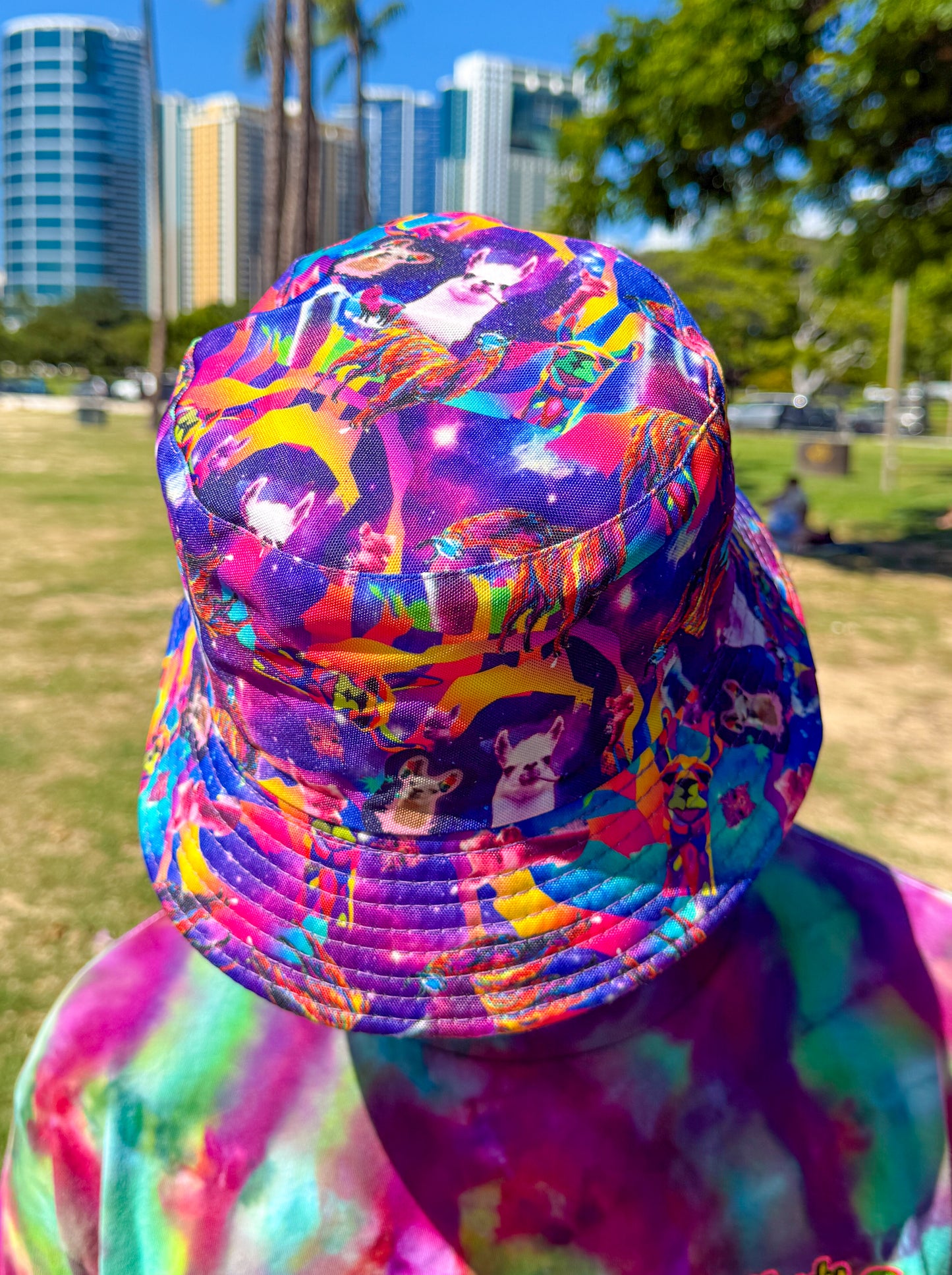 Rainbow Llama Bucket Hat