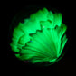UV Rainbow Flower Implosion Marble no.1 (30mm)