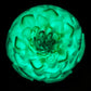UV Rainbow Flower Implosion Marble no.3 (33mm)