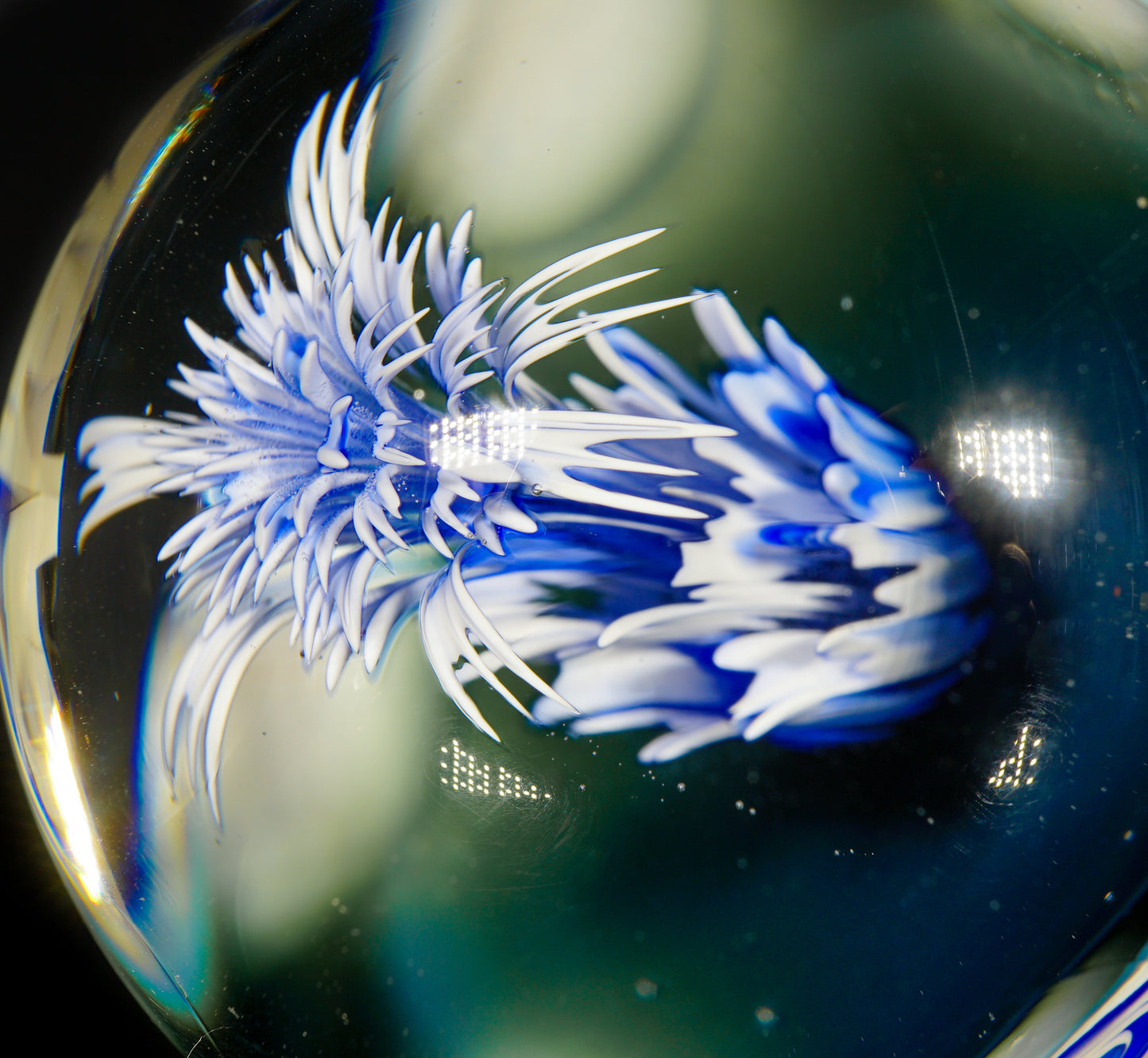 Blue and White Cave Jelly XL Marble (60mm)