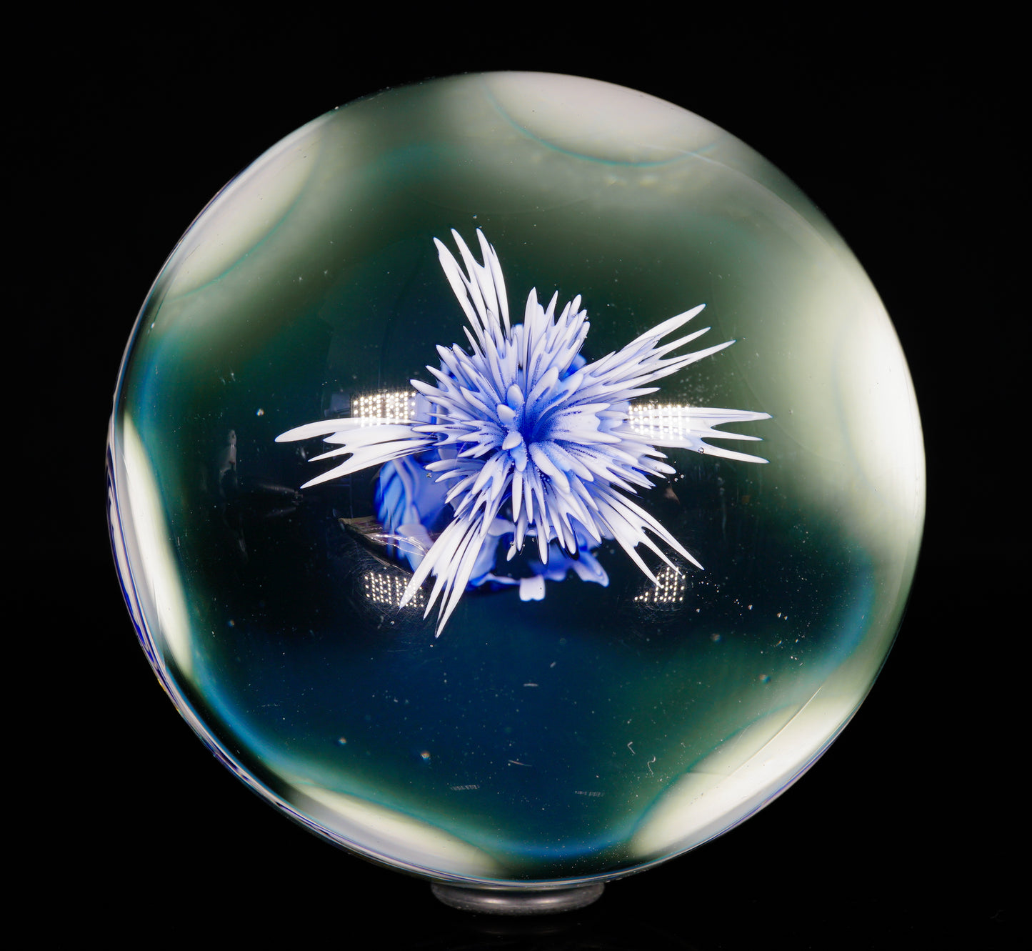 Blue and White Cave Jelly XL Marble (60mm)