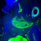 Stargazer and Dual UV Ion, Atomic Stardust Opal Squid Recylcer