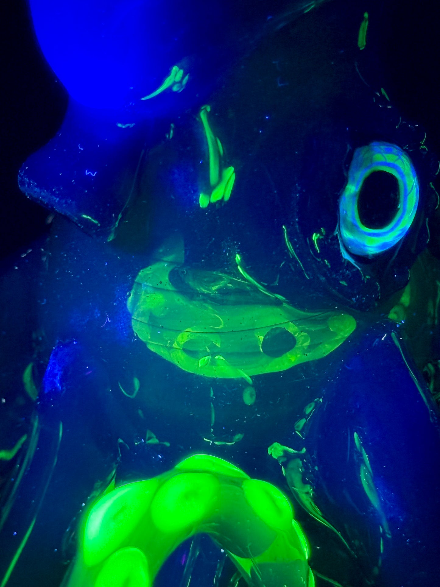 Stargazer and Dual UV Ion, Atomic Stardust Opal Squid Recylcer