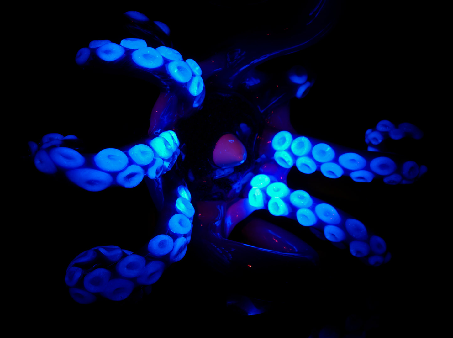 UV Atomic Stardust and Stargazer over Electrum Squid