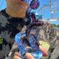 Warwick Glass Dark Water Cycler