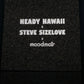 Steve Sizelove “Trapped in Hawaii” Moodmat
