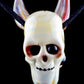 Dual-Sided Kangaroo Skull Pendant