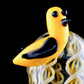 Zanfirico Bird Skull Pendant with Wu Tang Eye