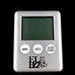 Dancing Dino Digital Timers