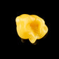 Chewed Gum Terp Pearls - Single (various colors)
