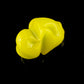 Chewed Gum Terp Pearls - various colors (12-14mm)