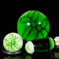 Green Balloon Dog Slurper Set