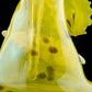 Banana Board Wave
