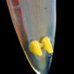 Sunset Surfboard Pendant