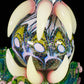 Milky Yoshi / Plantphibian / Illuminati Dichro Dotstack Brackish Saltacc WarpCurl